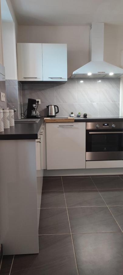 Logement Cosy Et Spacieux, A 2 Pas Du Centre-Ville Κολμάρ Εξωτερικό φωτογραφία